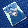 Rottweiler Magnetic Note Pad Standard